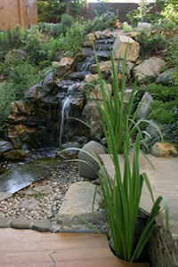 Естественным образом размещенные по склону камни и осыпи, среди которых сбегает водопад, грамотно подобранные растения имитируют горный склон.