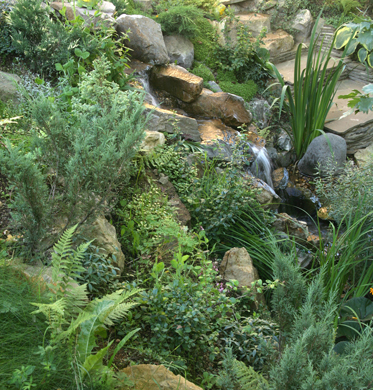 Естественным образом размещенные по склону  камни и осыпи, среди которых сбегает водопад, грамотно подобранные растения имитируют горный склон.