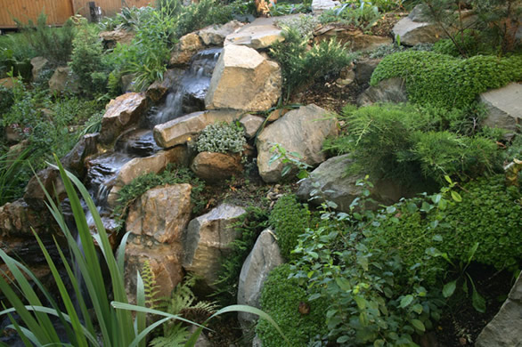 Неширокий ручей с декоративным водопадом источает свежесть и дает жизнь пышной сопутствующей флоре.