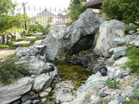Небольшой водопад, сложенный из крупных глыб змеевика, служит источником ручья