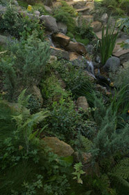 Искусственный водопад выглядит как уголок девственной природы за счет правильно сгруппированных камней и подбора растений.
